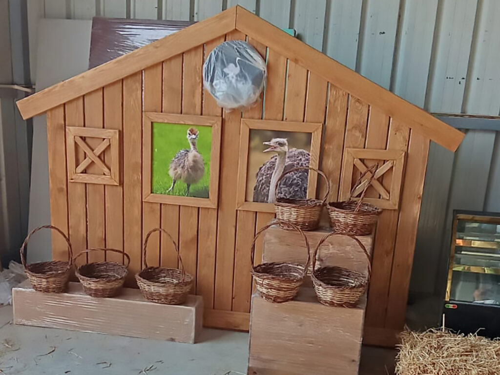 Ostrich Land
